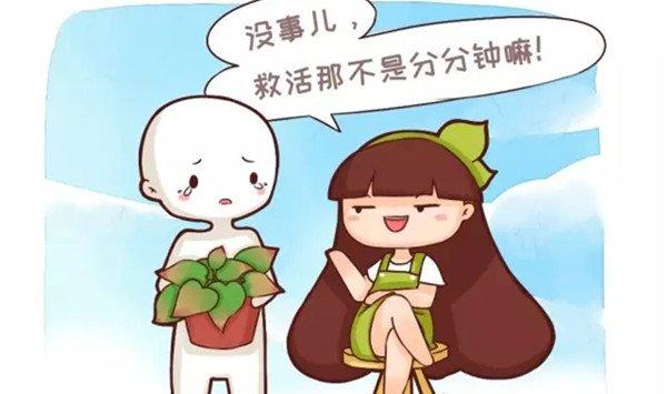 快死的绿萝别扔，1分钟让它起死回生