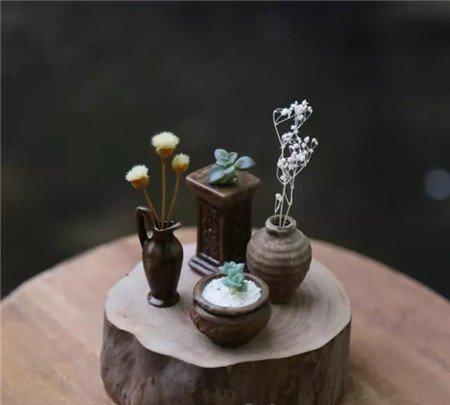 拇指盆栽 拇指盆栽