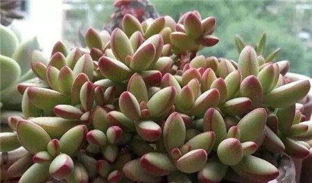 散光 散光