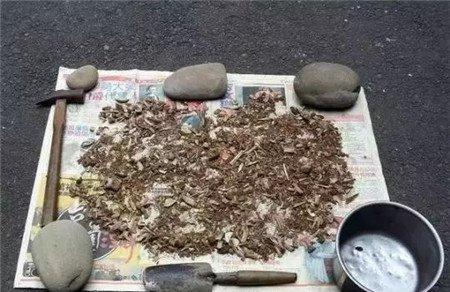 骨粉 骨粉