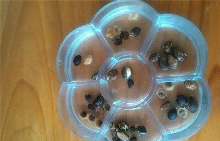 制作方法