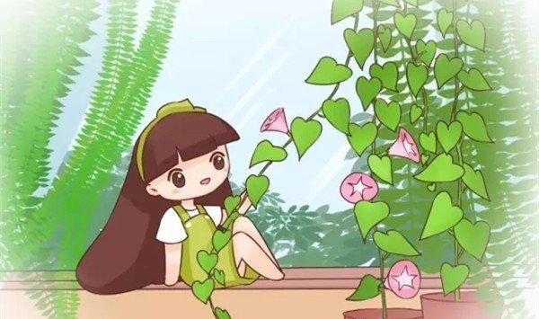 不用3个月，就能种出个牵牛花窗帘