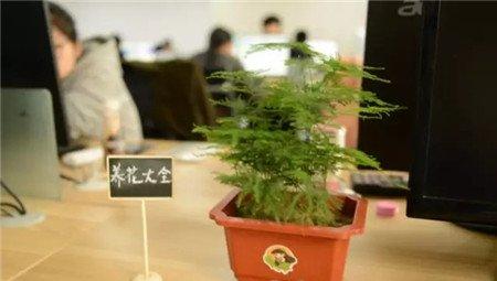 脱水挽救 脱水挽救