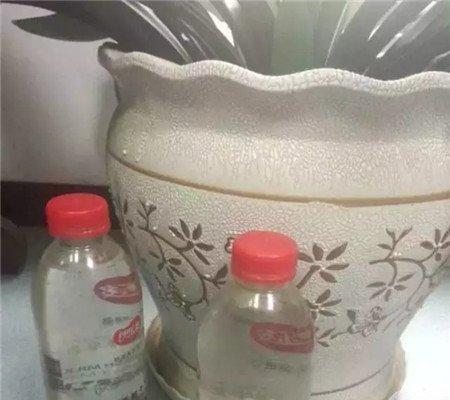 水的温度 水的温度