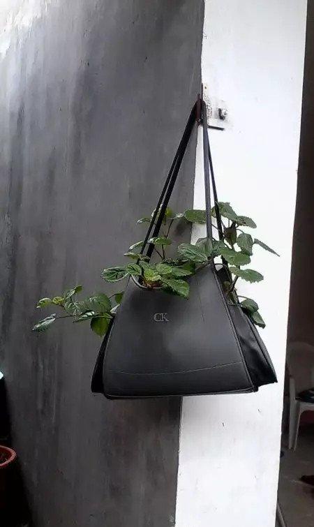 花盆