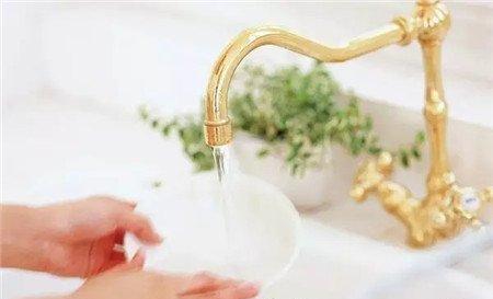 用松针土制作水培营养液 用松针土制作水培营养液