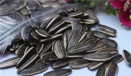 搜集坚果 搜集坚果