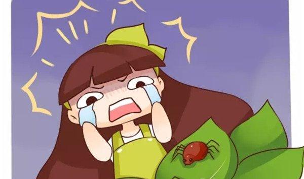 养花最怕的就是这个…一摊上花就死