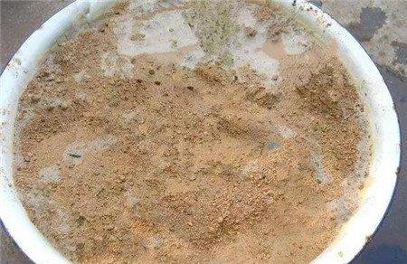 栀子花盆注入水 栀子花盆注入水