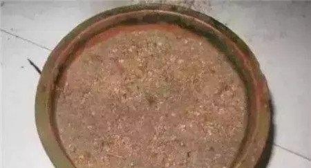 栀子表面铺上沙 栀子表面铺上沙