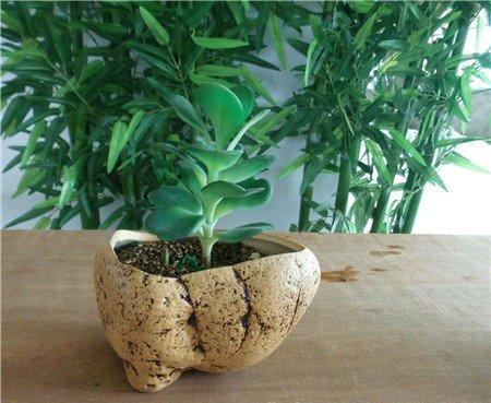 砂岩花盆 砂岩花盆