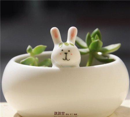 根据植株造型选择花盆 根据植株造型选择花盆