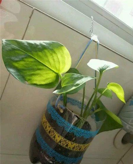 缠绕塑料瓶