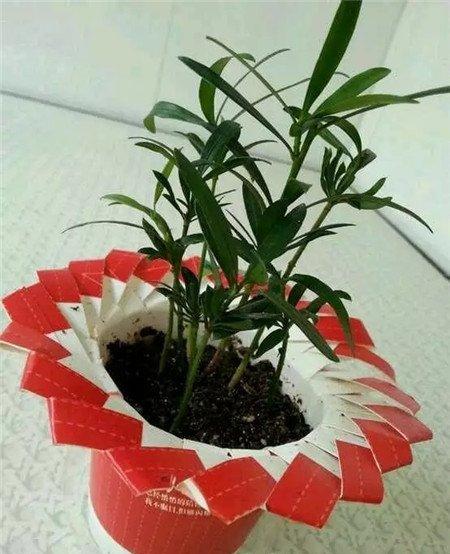 纸杯的