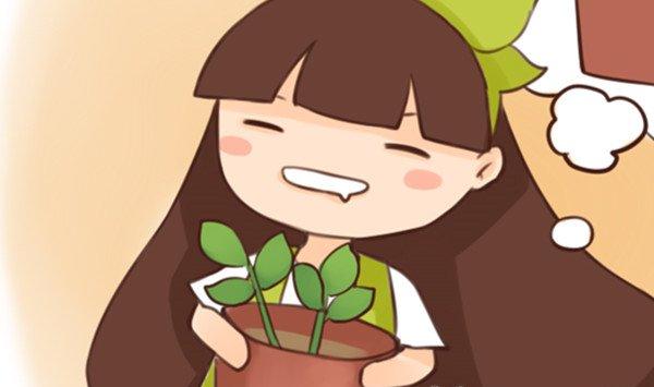 天热了,再不扦插就没机会了