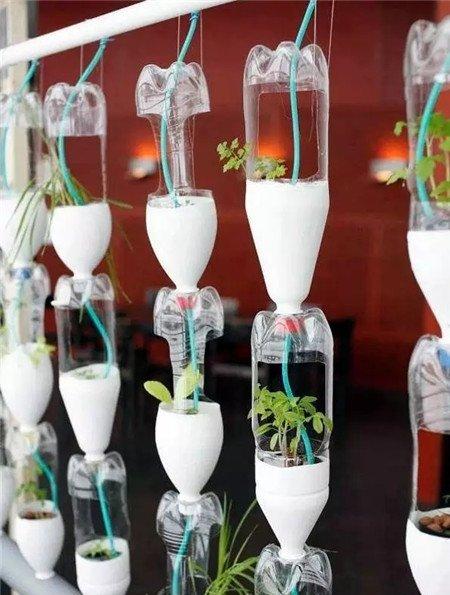 塑料瓶