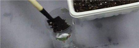 把有盖子的一端与下端瓶身倒扣在一起 把有盖子的一端与下端瓶身倒扣在一起