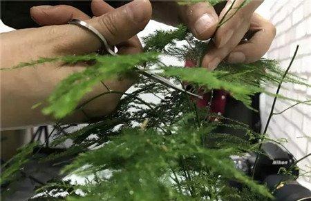 朱子文 朱子文