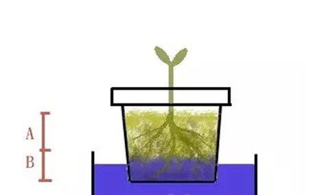 做喷发 做喷发