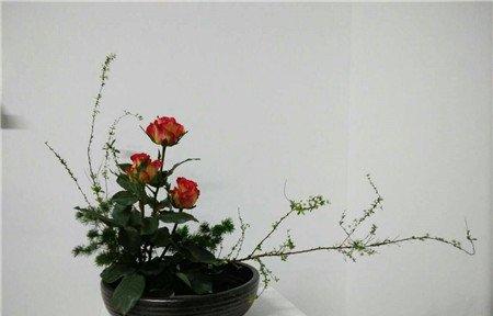 东方式插花的风格特点二:人文之“善” 东方式插花的风格特点二:人文之“善”