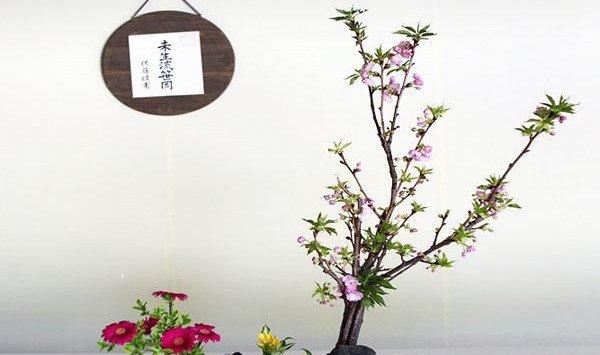 东方式插花的风格特点