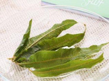 马鞭草茶冲泡方法