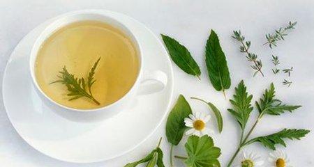 马鞭草茶功效