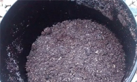 豆渣土壤搅拌 豆渣土壤搅拌