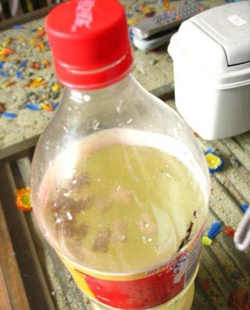 将黄豆装瓶 将黄豆装瓶