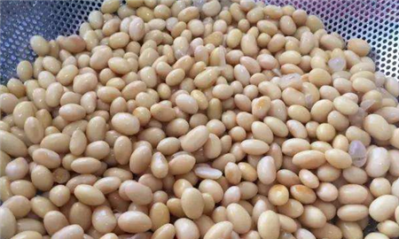 黄豆施肥 黄豆施肥