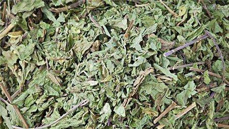 干薄荷叶 干薄荷叶