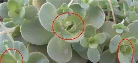 节课从 节课从