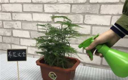 喷硫酸亚铁 喷硫酸亚铁