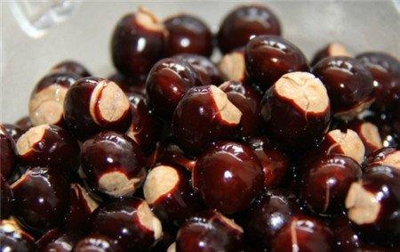 桂圆种子盆栽怎么种