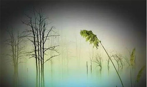 蓝兰并没生病，但她整个晚上嘴巴一张一合？是不是很奇怪