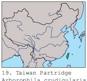 雉科【台湾山鹧鸪 White-throated Hill Partridge】生活习性简介 台湾山鹧鸪图片