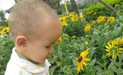 牛年出生的男孩取名