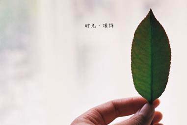青春语录：我们是活给自己看的，不必沉浸在他人的语言中