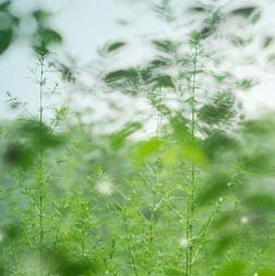 青春语录：谁都想让青春永驻，不忍青春离去